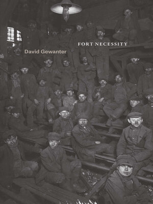 cover image of Fort Necessity